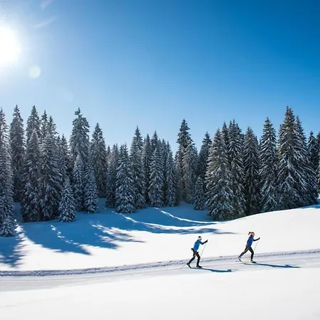 Superbe Au Pied Des Pistes -le Chamois